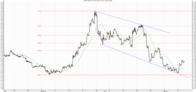 Guadagnare con il forex opinioni